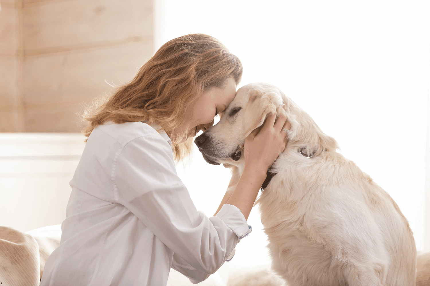 Localizador GPS para mascotas